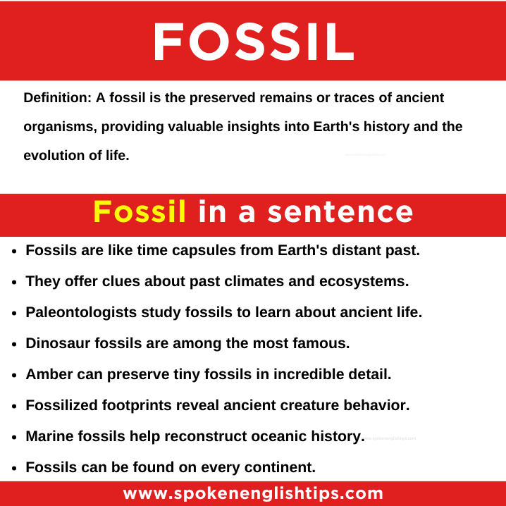 fossil in a sentence