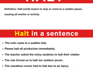 Halt in a Sentence