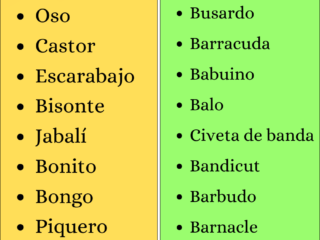 Animals That Start with B in Spanish