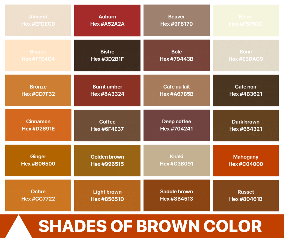 Shades of Brown Color