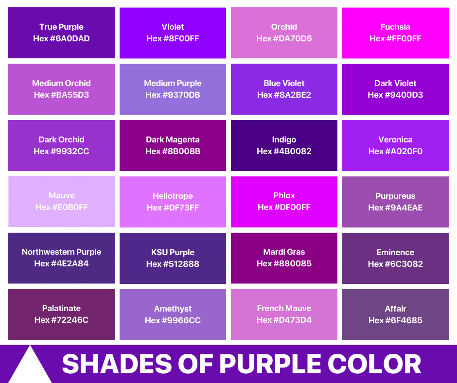 Shades of Purple Color