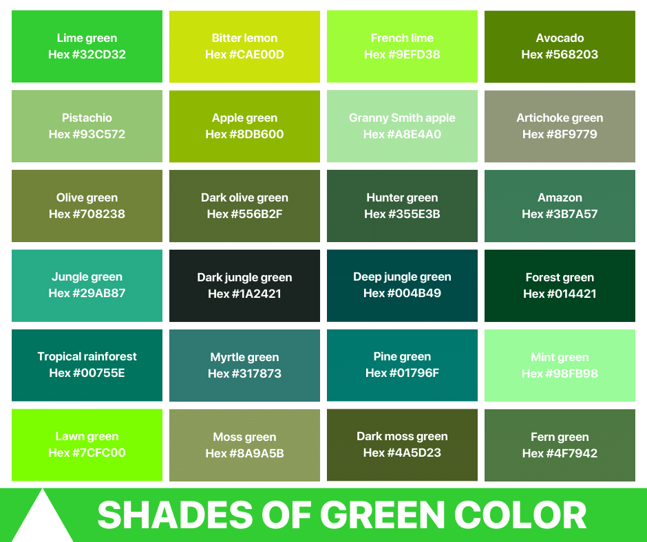 Shades of green Color