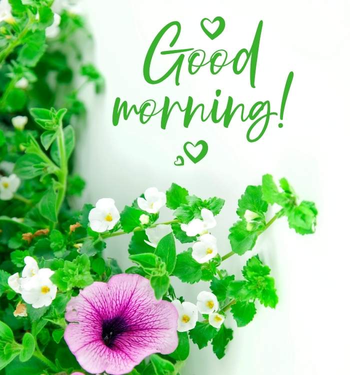 Good morning images with positive words