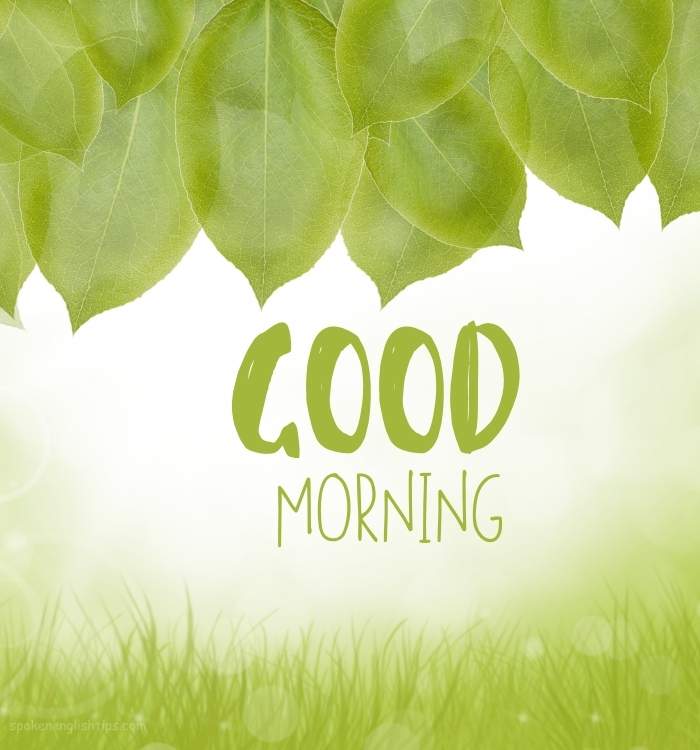Good Morning Images HD