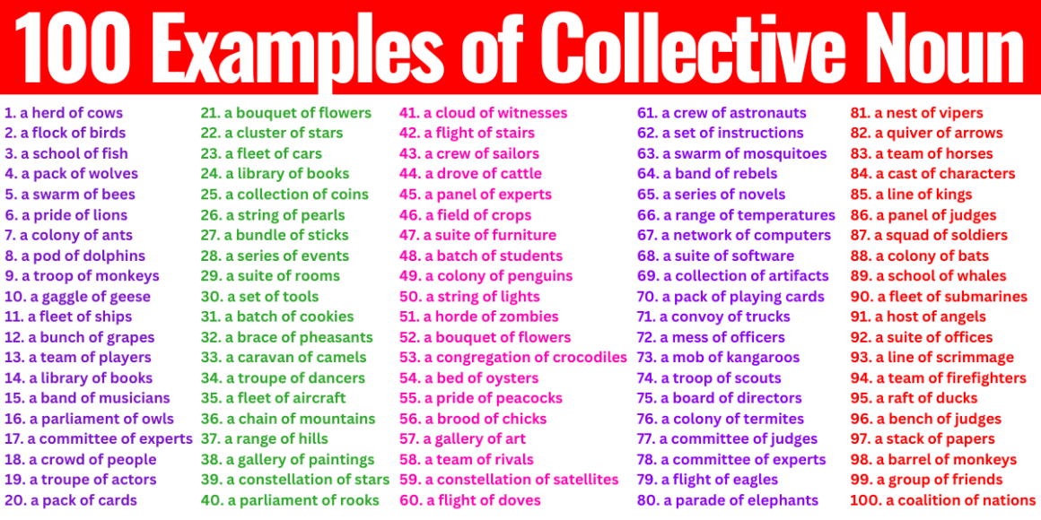 100 Examples of Collective Noun