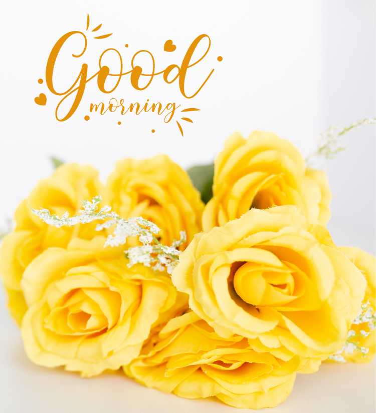 Good Morning Yellow Rose message