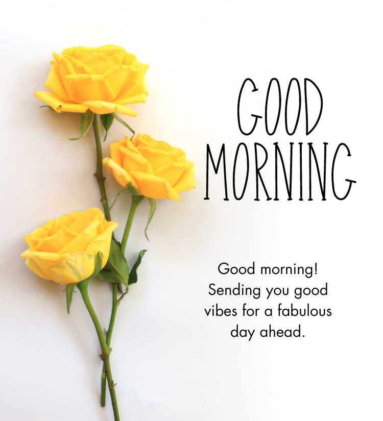 Good Morning Yellow Rose images download
