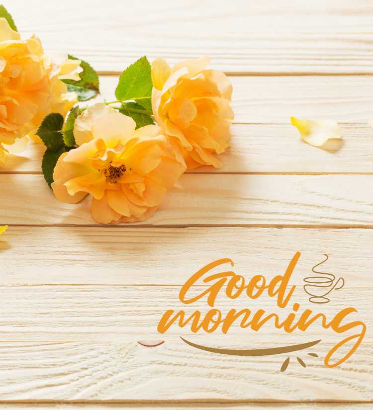 Good Morning Yellow Rose quotes