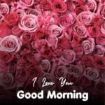 43+ Romantic Good Morning Rose Flower Images