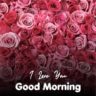 43+ Romantic Good Morning Rose Flower Images