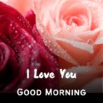 43+ Romantic Good Morning Rose Flower Images