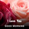 43+ Romantic Good Morning Rose Flower Images