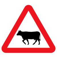 POSSIBILITY OF CATTLE ON ROAD