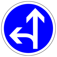 COMPULSORY GO AHEAD OR TURN TO LEFT