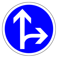 COMPULSORY GO AHEAD OR TURN TO RIGHT
