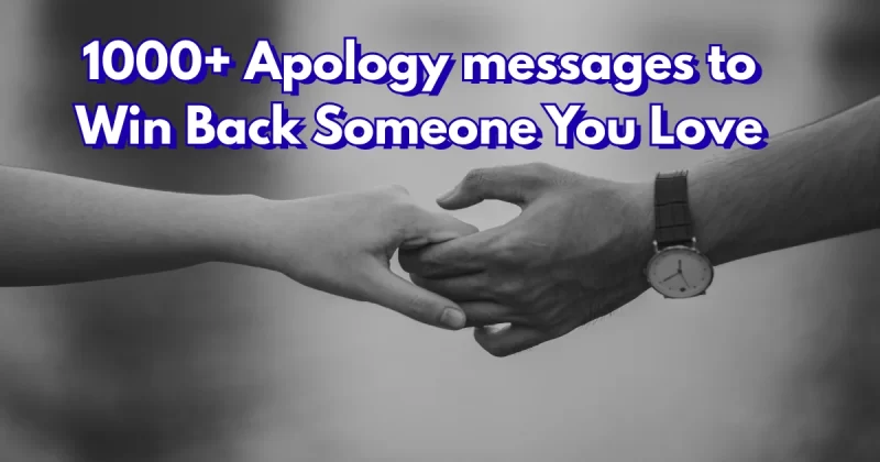 Apology Messages