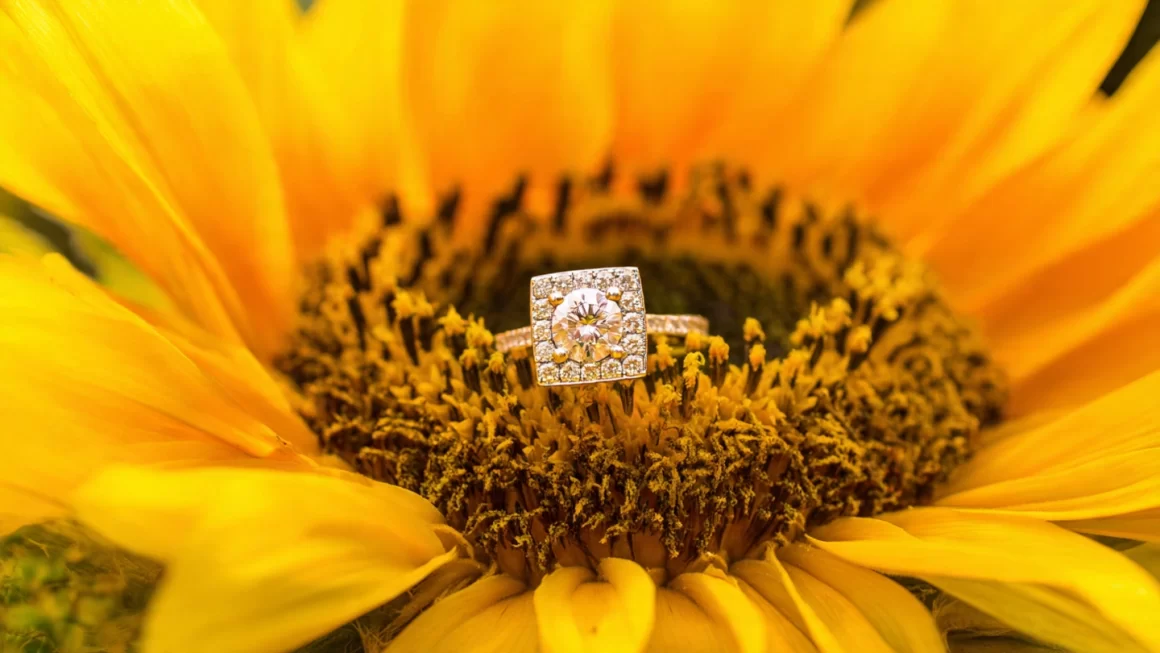 39+ Engagement Ring Picture Ideas for Woman: Tell Your Story Through Photos engagement ring picture ideas