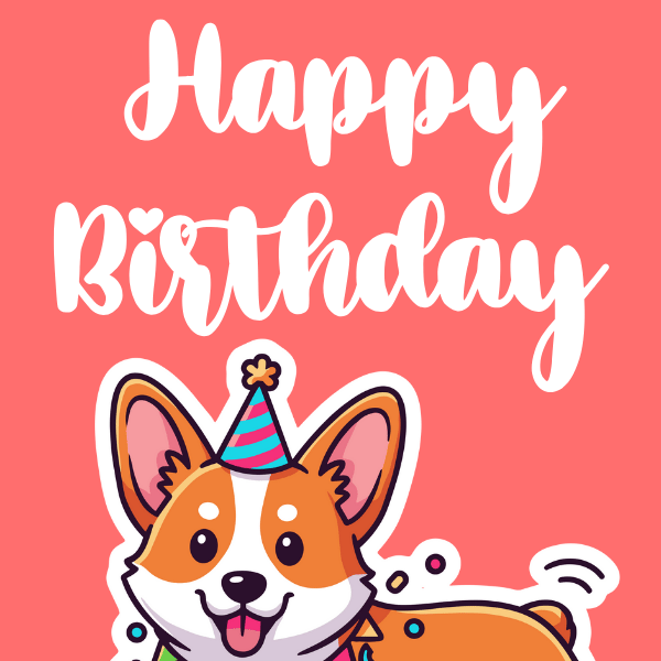 199+ Wishes on Happy 11th Birthday Happy 11th birthday