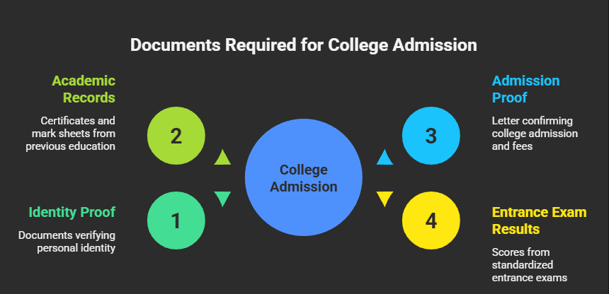 Student Loans Without Collateral in India: Your Complete Guide to a Stress-Free Education