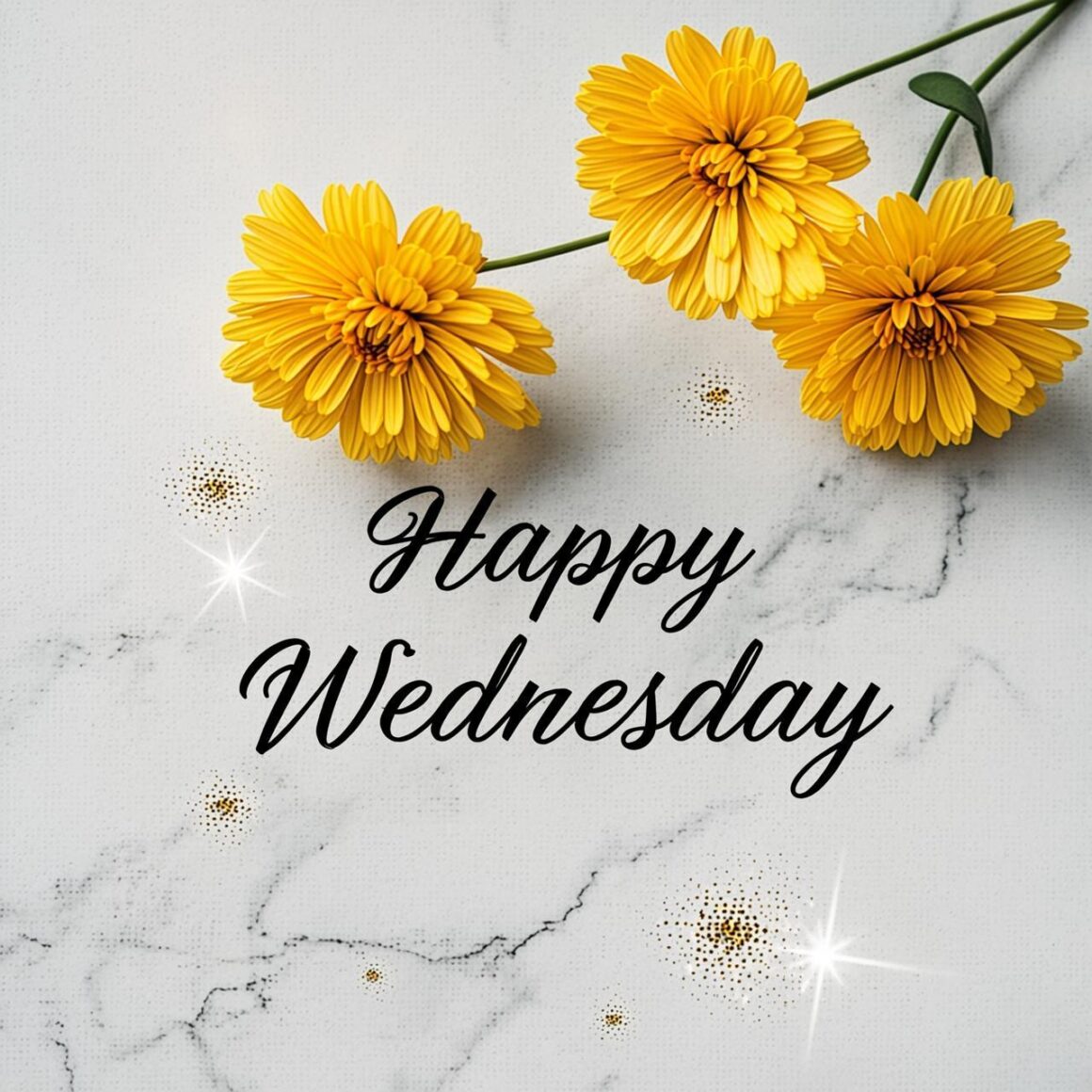 happy wednesday images
